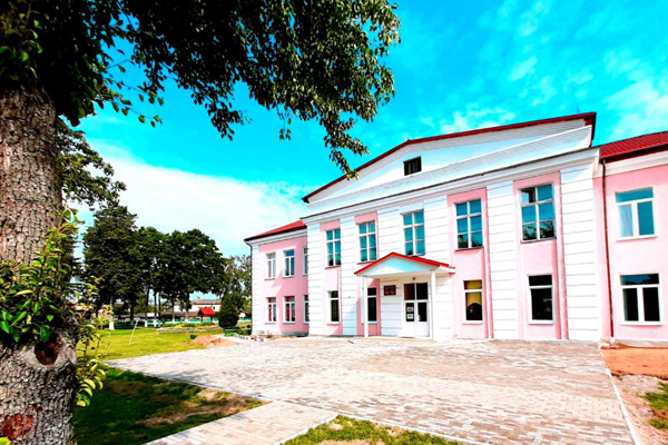 новодевятковичская сш