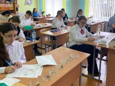 олимпиада