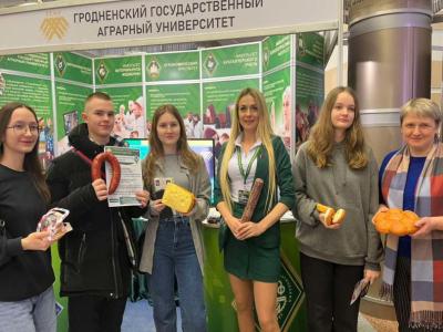 выставка