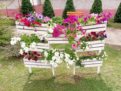 украсим Беларусь цветами