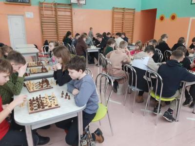 Белая ладья 2024